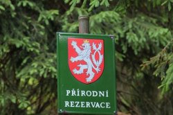 Mokřady pod Vlčkem