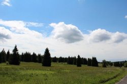 Rolavská vrchoviště