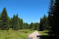 Rolavská vrchoviště