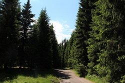 Rolavská vrchoviště