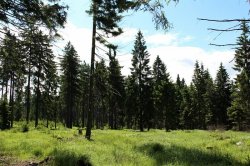 Rolavská vrchoviště