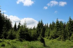 Rolavská vrchoviště