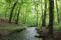 Kunratické brook valley