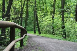 Kunratické brook valley