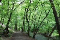 Kunratické brook valley