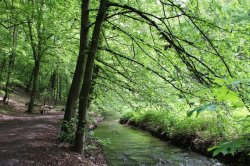 Kunratické brook valley