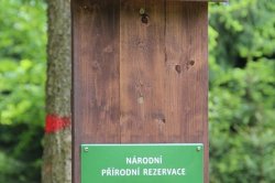 Voděradské beech forests