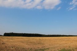 ŽLunice Wälder