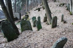 Jüdischer Friedhof und Juden in Podbřezí - Skalka in der Region Dobruš