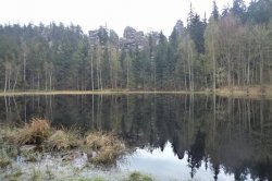 Skály (hrad a zámek)