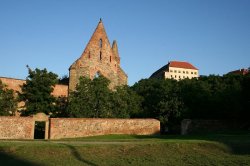 Klášter Rosa coeli v Dolních Kounicích