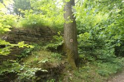 Výrov (zřícenina)