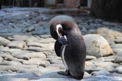 ZOO Praha