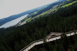 Stezka korunami stromů Lipno