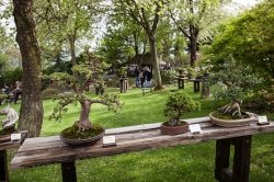 Botanischer Garten der Prager Troja