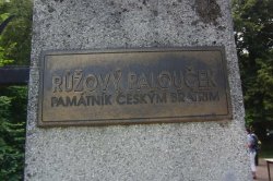 Růžový palouček