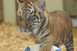 ZOO Jihlava