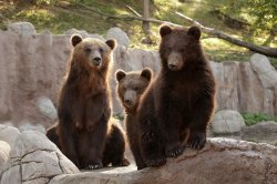 ZOO Brno