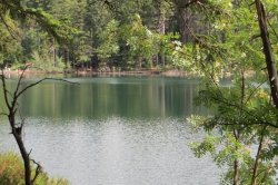 Black Lake