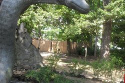 Dinopark Plzeň - eine Reise für Dinosaurier