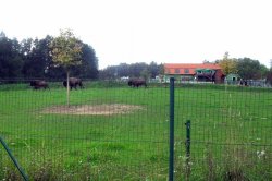 ZOO Tábor Větrovy