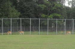 S dětmi na výlet do ZOO Tábor – Větrovy