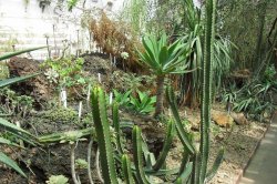 Mit Kindern, die den Pilsener Zoo erkunden und Spaß haben