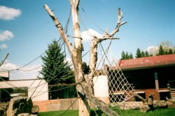 Mit Kindern zum Dvůr Králové nad Labem ZOO