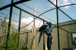Mit Kindern zum Dvůr Králové nad Labem ZOO