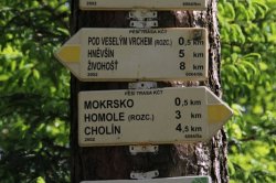 Merry Hill Lookout Tower