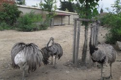 ZOO Vyškov