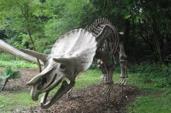 Dinopark Vyškov - v lese s dinosaury