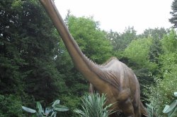 Dinopark Vyškov - v lese s dinosaury