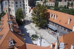 Schloss Český Krumlov