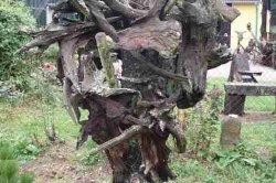 Muzeum samorostů Slavonice