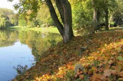 Ledce - forgotten spa