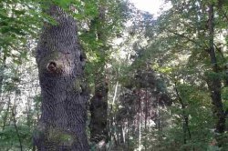 Ledce - forgotten spa