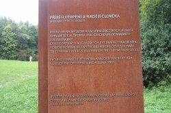 Křížová cesta 21. století