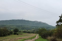 Děvín - Mikulovská vrchovina