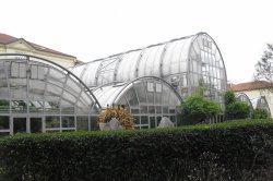Botanická zahrada Brno