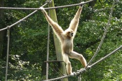 ZOO Zlín Lešná