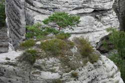 Hruboskalsko