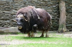 ZOO Liberec