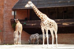 ZOO Liberec