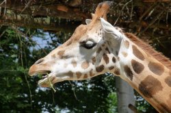 ZOO Liberec