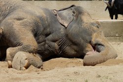 ZOO Liberec