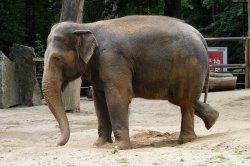 ZOO Liberec
