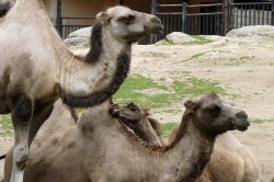 ZOO Liberec