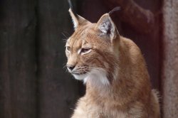 ZOO Liberec