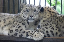 ZOO Liberec